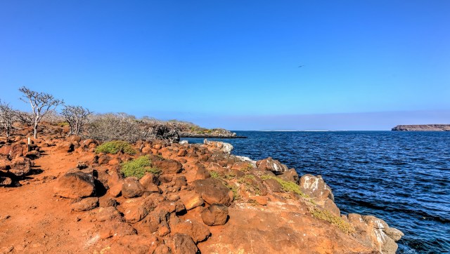 Shark conservation efforts received a boost with important new legal protections for dozens of threatened marine species. 