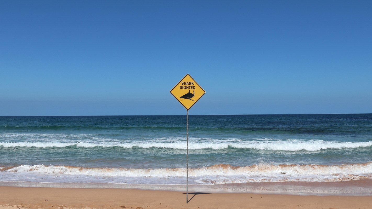 Kaua'i beaches got a major shark scare when officials spotted two 8-foot sharks within hours.