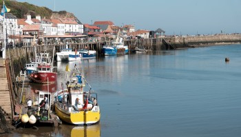 Local Sri Lankan fishers are turning an invasive species, the snakehead fish, into a popular delicacy to save native fish populations.