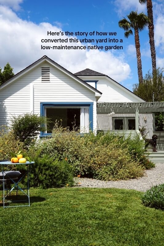 A Los Angeles design duo shared the transformation of an urban yard into a thriving native plant lawn.