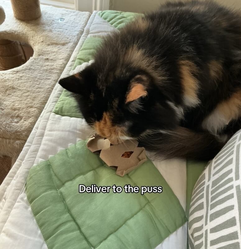 Spraying cleaner directly on your oven's control panel is a very costly mistake, according to this cleaning specialist on TikTok.