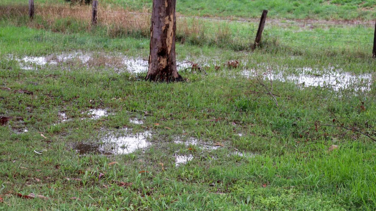 One Redditor shared how they implemented an artificial creek bed to control stormwater runoff and soil erosion in their yard.