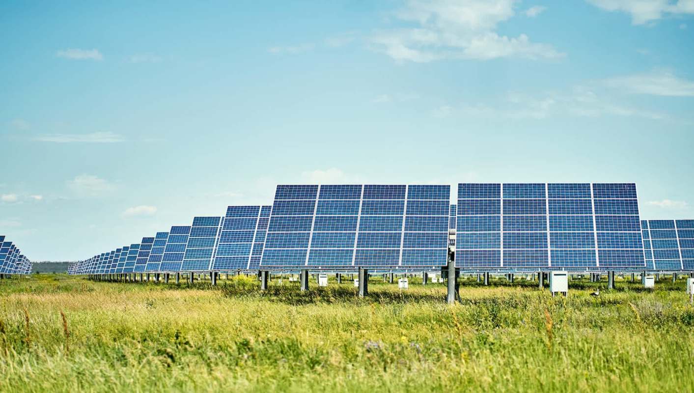 A 556-megawatt solar plant in Texas will use sheep for eco-friendly landscaping in a practice known as solar grazing.