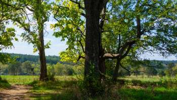 Natural spaces across Virginia are experiencing what they're calling a 