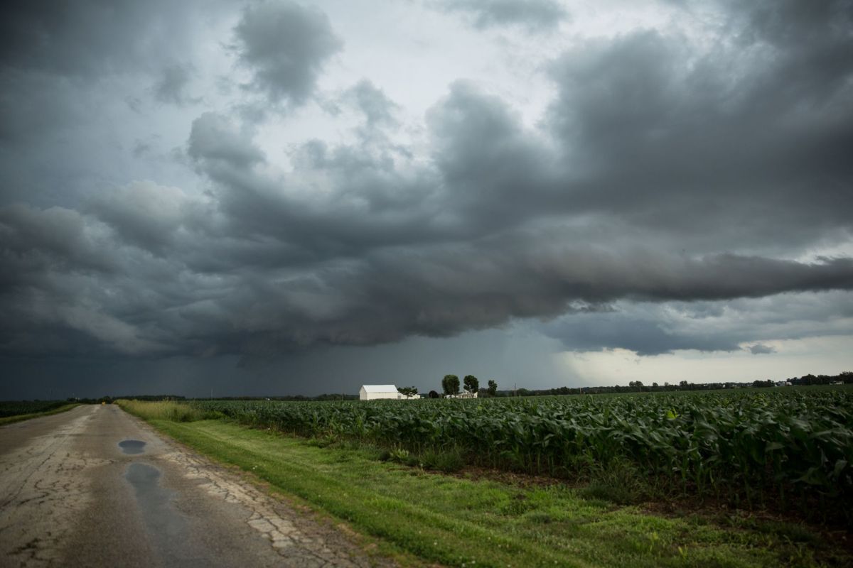 Mississippi's farmers are sounding the alarm as the state's sweet potato crop yields are down 20% to 30% compared to last year.