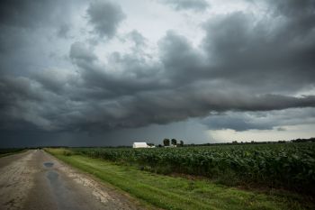Mississippi's farmers are sounding the alarm as the state's sweet potato crop yields are down 20% to 30% compared to last year.
