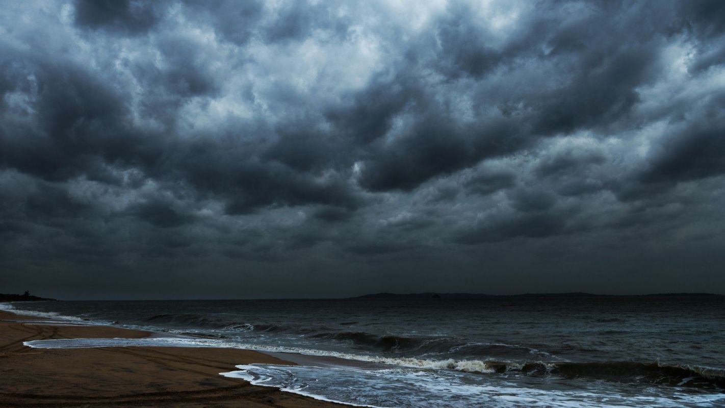 Researchers at the Natural History Museum detected a 32% drop in deep-sea biodiversity following extensive observation after deep-sea mining.