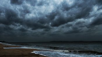 Researchers at the Natural History Museum detected a 32% drop in deep-sea biodiversity following extensive observation after deep-sea mining.