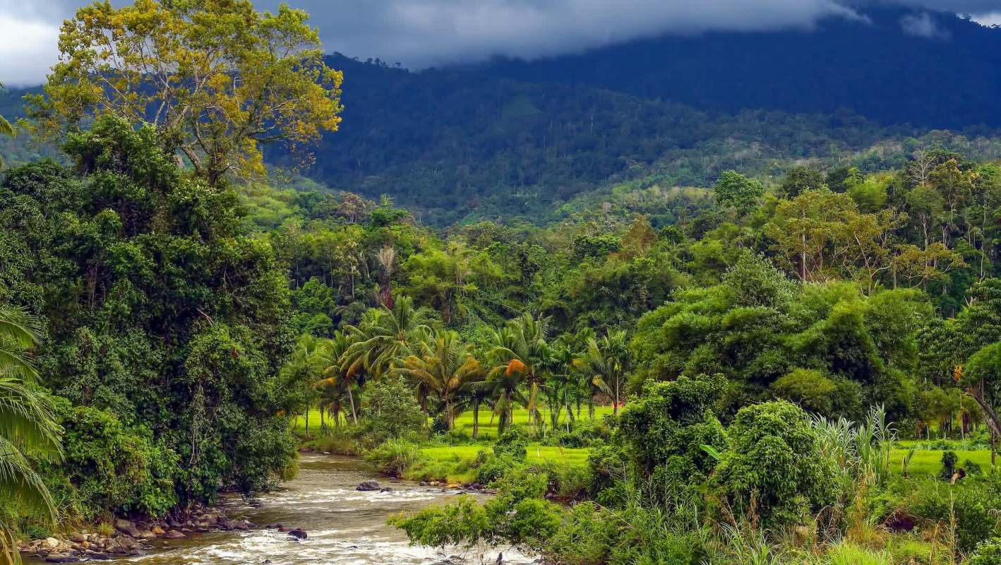 Endangered striped rabbits found in Asia are facing new dangers from poachers and wildlife trafficking.