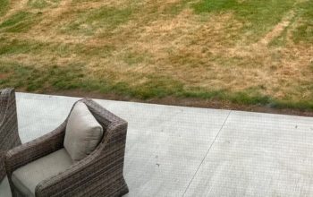 One Reddit user wrote about how their lawn was completely destroyed after a fertilizer application from their lawn care service.