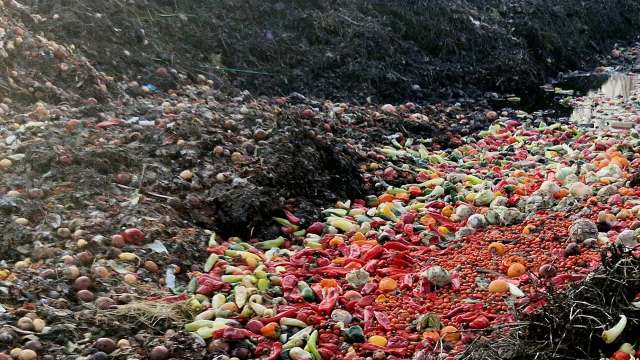 One entrepreneur is changing the game by tackling two major problems at once: saving on groceries and keeping perfectly good food out of landfills.