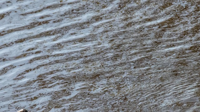 Florida wildlife officials rescued an injured crocodile after deploying boats and drones.