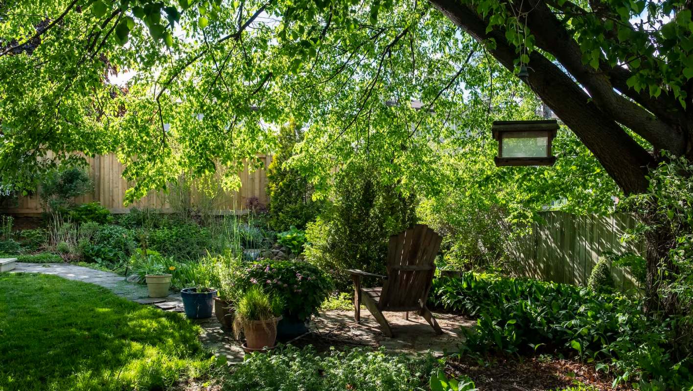 One gardener was startled to suddenly lock eyes with a tawny frogmouth, cleverly disguised as a tree branch.