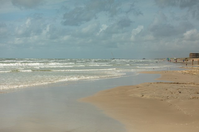 Beachgoers in Texas are seeing increasing numbers of invasive jellyfish washing ashore.
