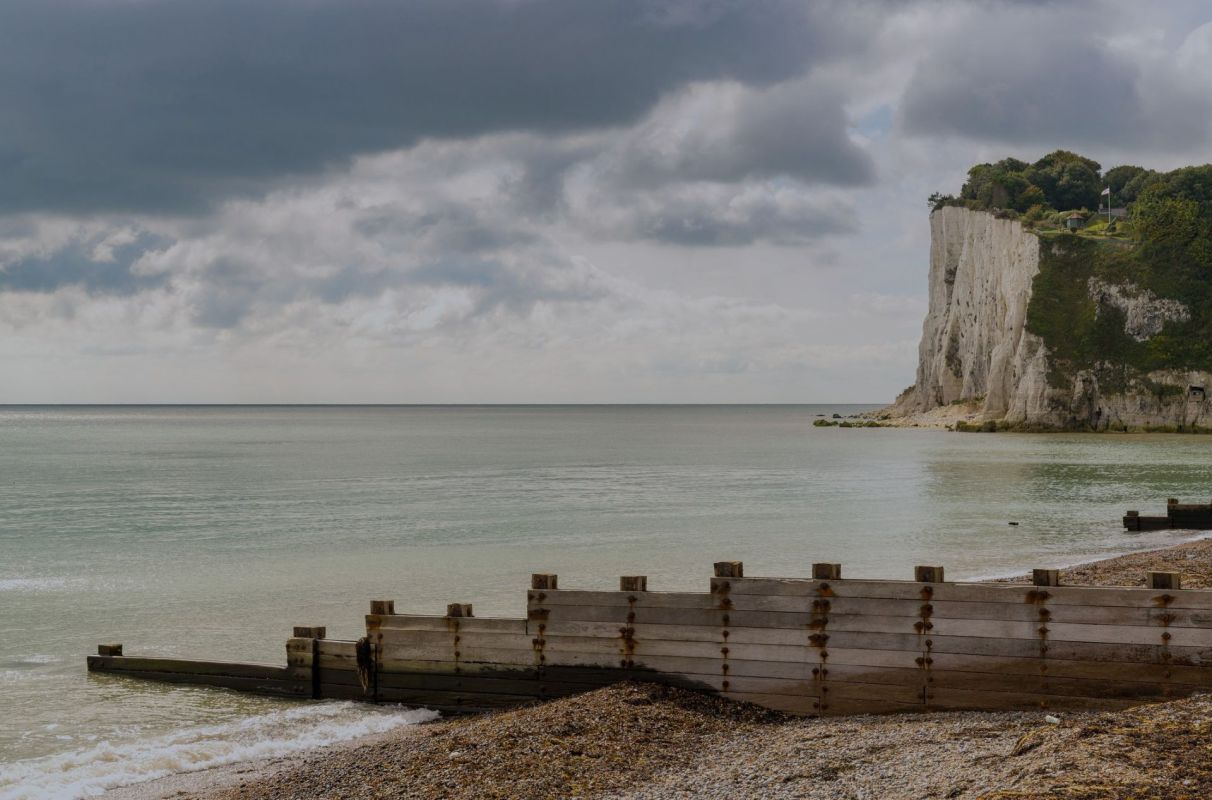 See how this photographic artist is drawing attention to the synthetic textile industry through seemingly harmless seaweed.