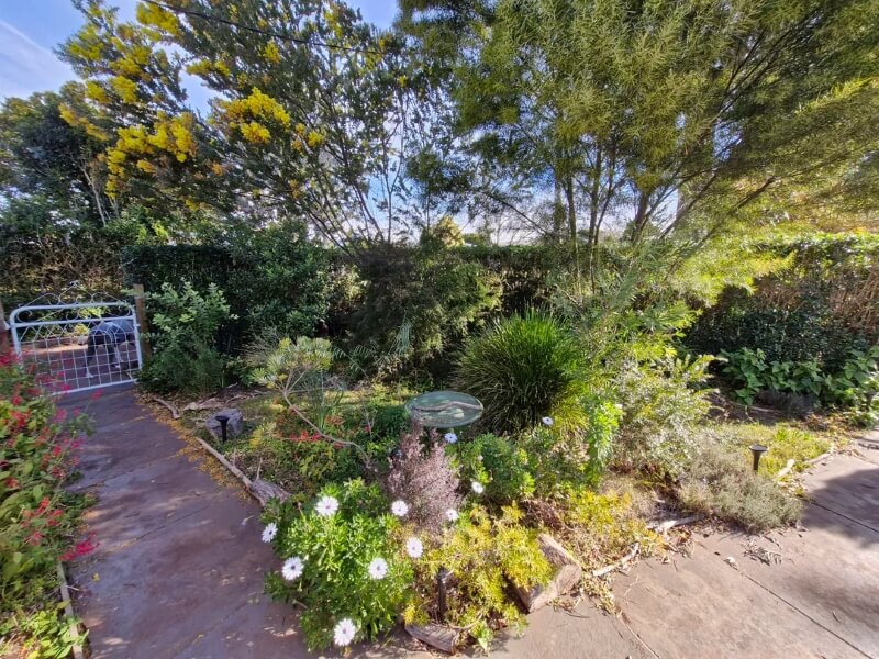 One Redditor shared before-and-after photos of their yard, which they transformed from a monoculture lawn into a native garden.