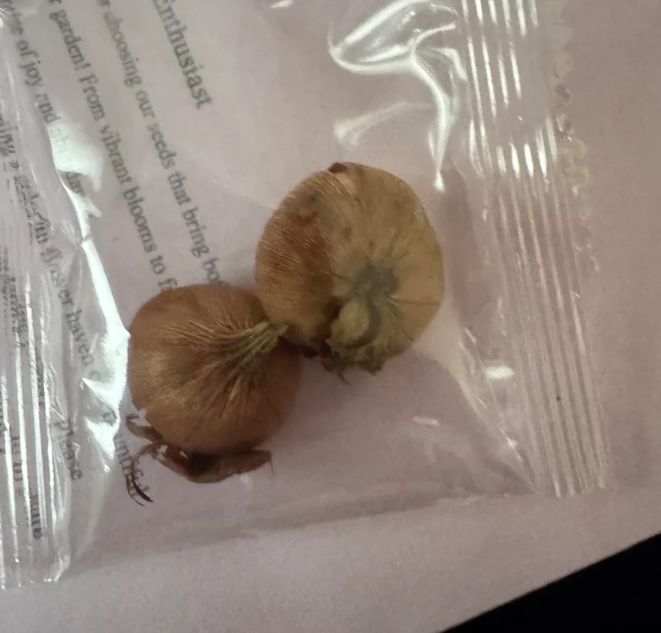 Redditors didn't mince their words when a homeowner inquired about what to do with the contents of a mysterious package.