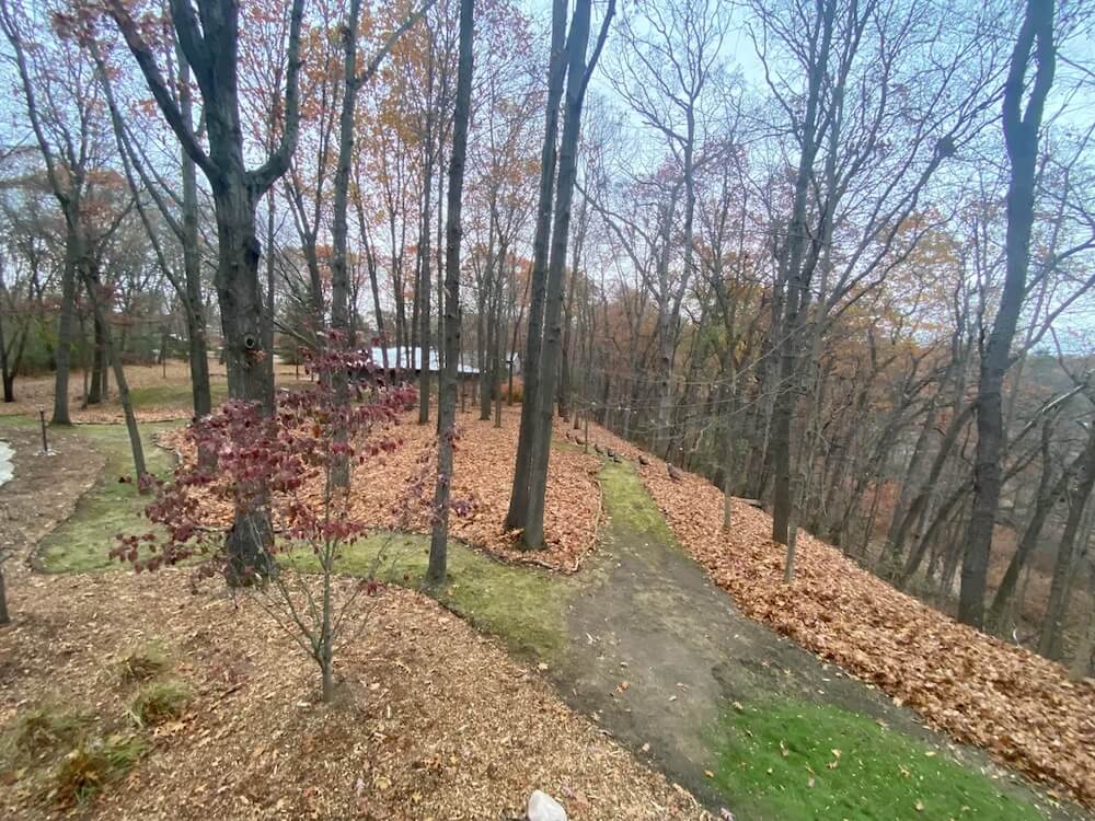One Reddit user shared how they're embracing their leftover leaf litter and revealed a flock of turkeys that love it.