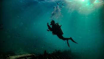 Rare thresher sharks were captured in underwater videos in the Sipaway Island Marine Protected Area in the Philippines
