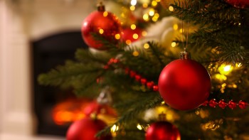 One Reddit user was shocked to see an absurdly priced Christmas tree at a thrift store.