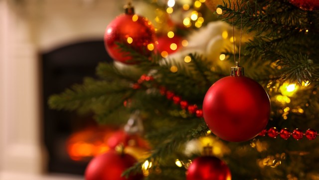 One Reddit user was shocked to see an absurdly priced Christmas tree at a thrift store.