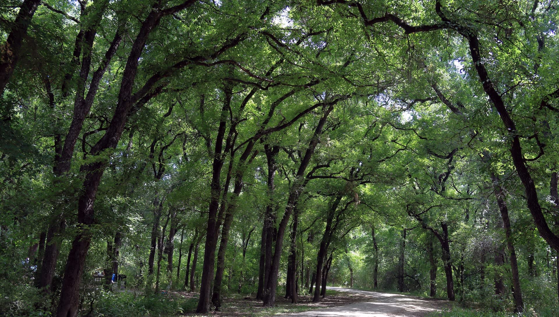 Expert issues urgent warning about disease-carrying insects lurking in US region: 'They were out and about'