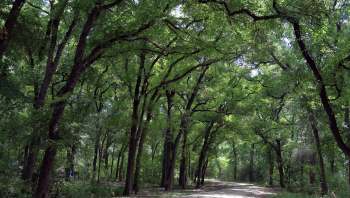 As Pennsylvania hunters gear up and head into the woods this fall, an expert has warned that the state is seeing more ticks than usual.