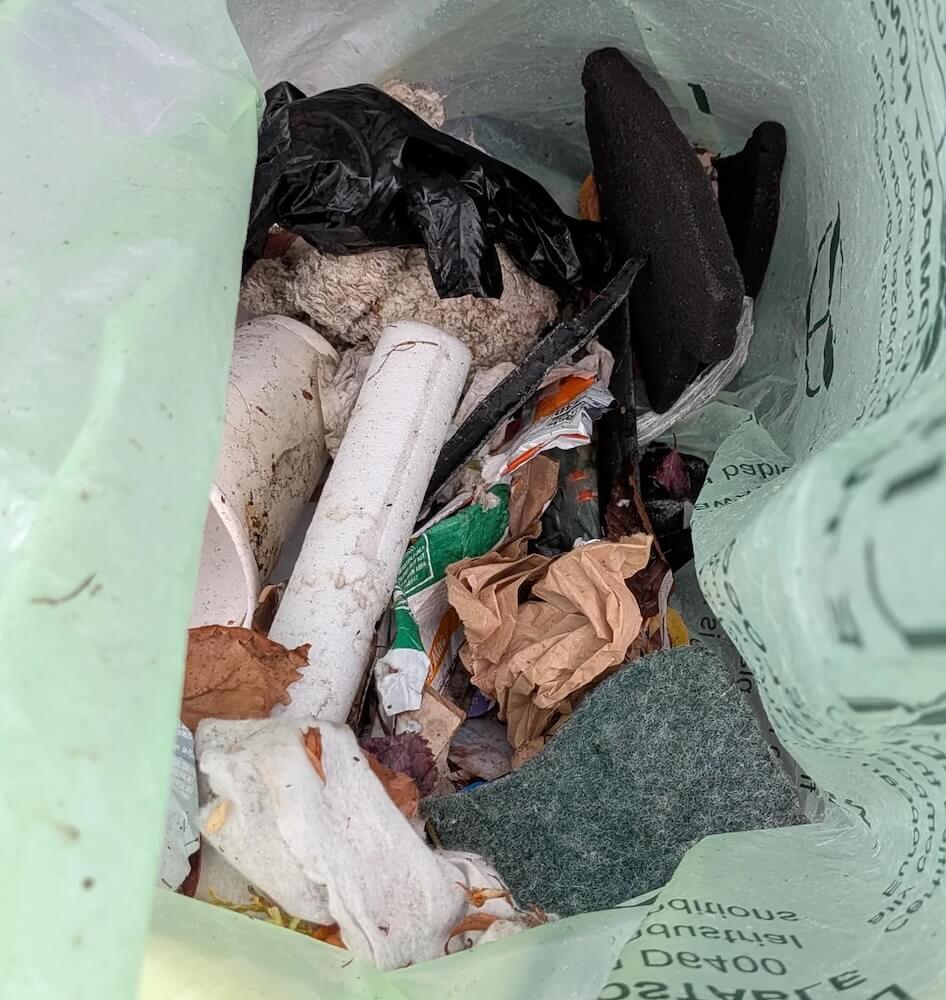 A Redditor shared how they clean up their neighborhood, including Lincoln Park, to the community at r/WestSeattleWA.