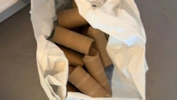 Dog enrichment like this can save you money on dog toys while keeping your pet entertained and healthy.