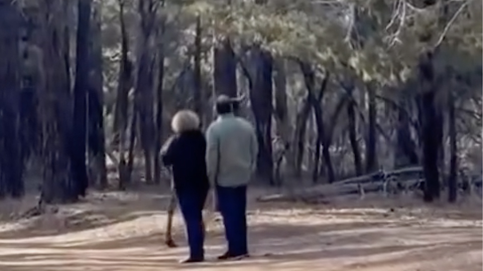 Tourists face backlash after video catches them breaking national park rule in broad daylight: 'Should have … permanent ban for all parks'