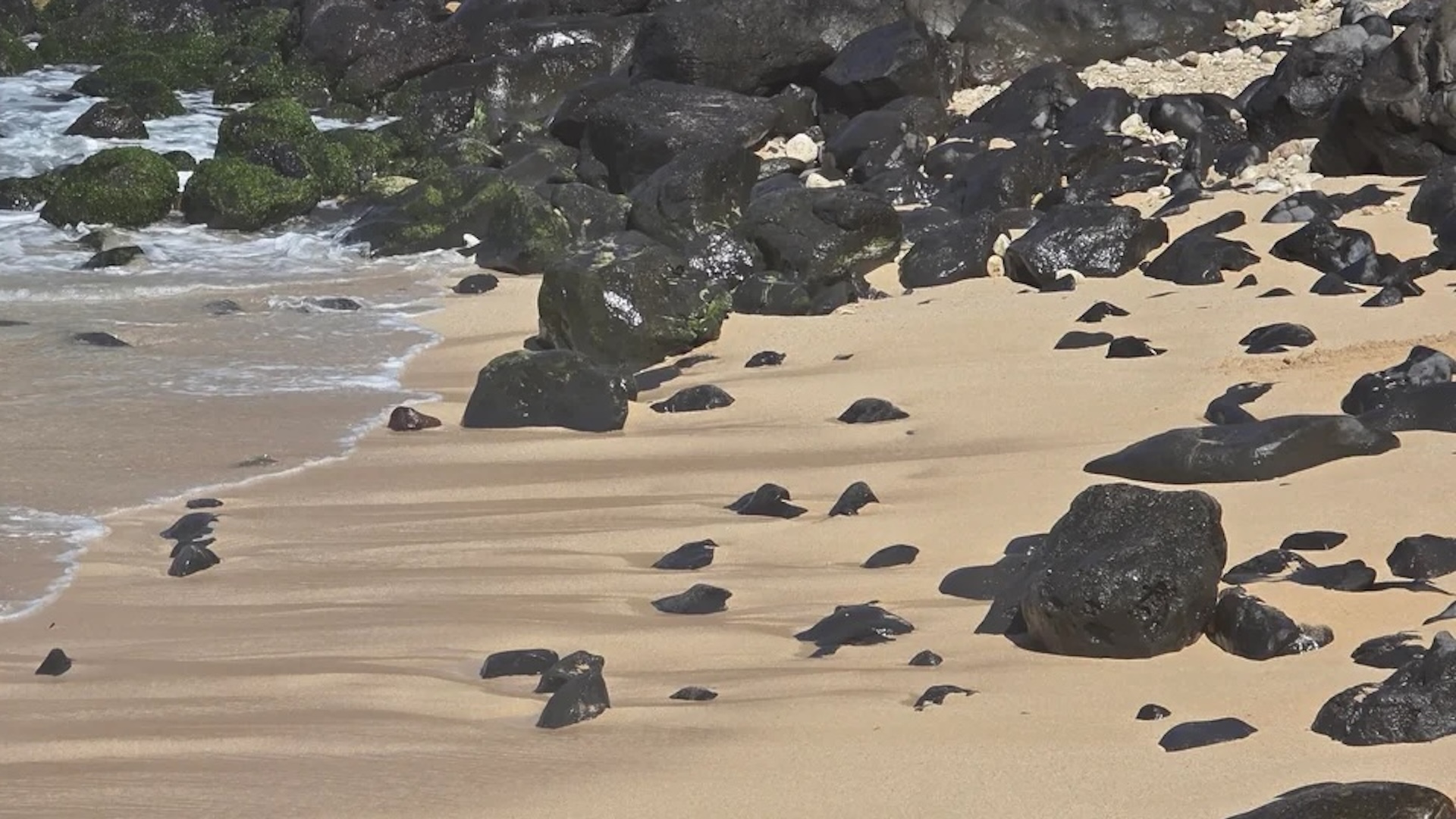 Onlooker captures photos of tourist's thoughtless actions on beach: 'Call her out'
