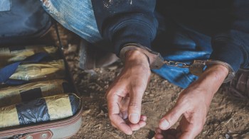 Indian wildlife authorities disrupted an illegal snake venom trade, seizing nearly $9 million worth of the substance.