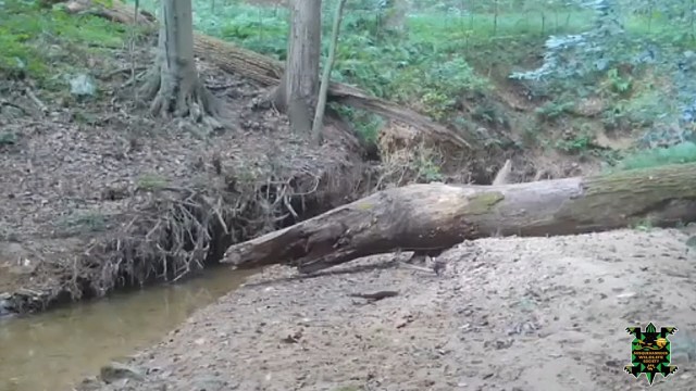 A bobcat appears to have been recorded on camera for the first time in Harford County, Maryland, confirming locals' longstanding reports.