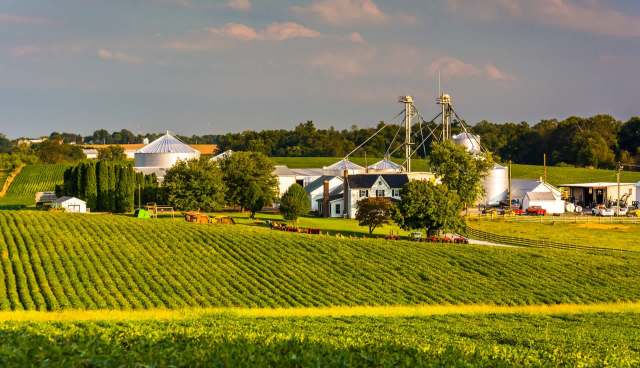 Farm owners across Maryland are reckoning with a proposed transmission line that would cut through their properties to support artificial intelligence data centers.