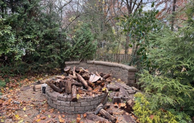 One homeowner in Chagrin Falls, Ohio, explained that they came home to find multiple mature buckeye and arborvitae trees on their property chopped down.