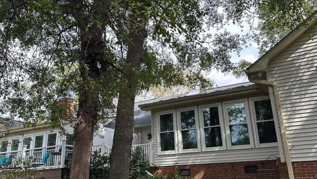 A Reddit post has been drawing attention after a homeowner shared alarming photos of what a local tree removal company did to their neighbor's trees.