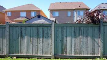 A Redditor shared how their mom's neighbor trespassed onto their property and cut down a significant part of a tree.