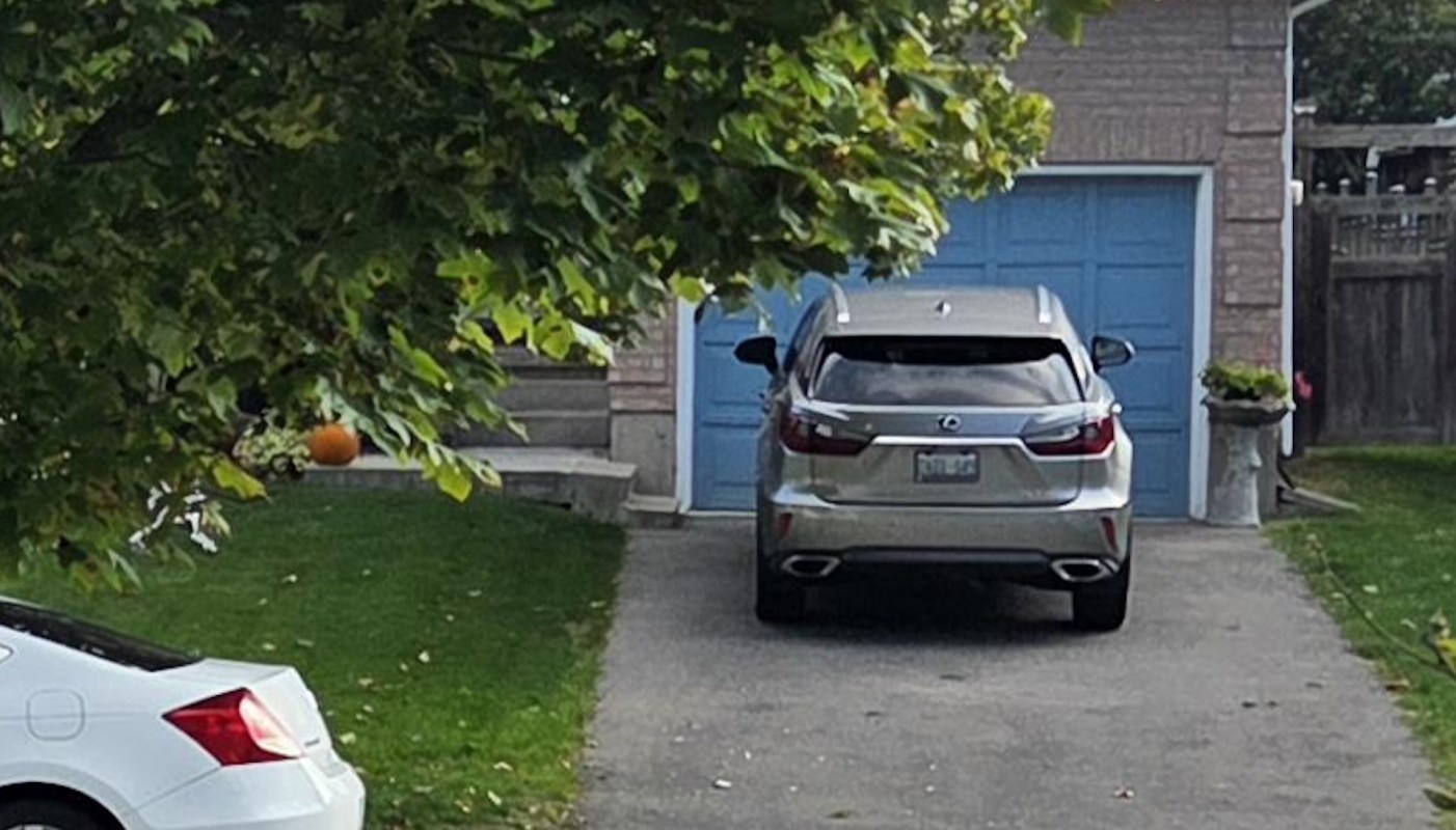 One Reddit user shared a photo of a questionable landscaping project, triggering an educational conversation with arborists.