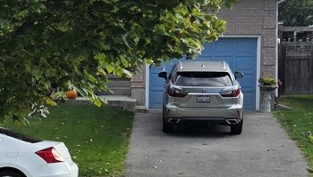 One Reddit user shared a photo of a questionable landscaping project, triggering an educational conversation with arborists.