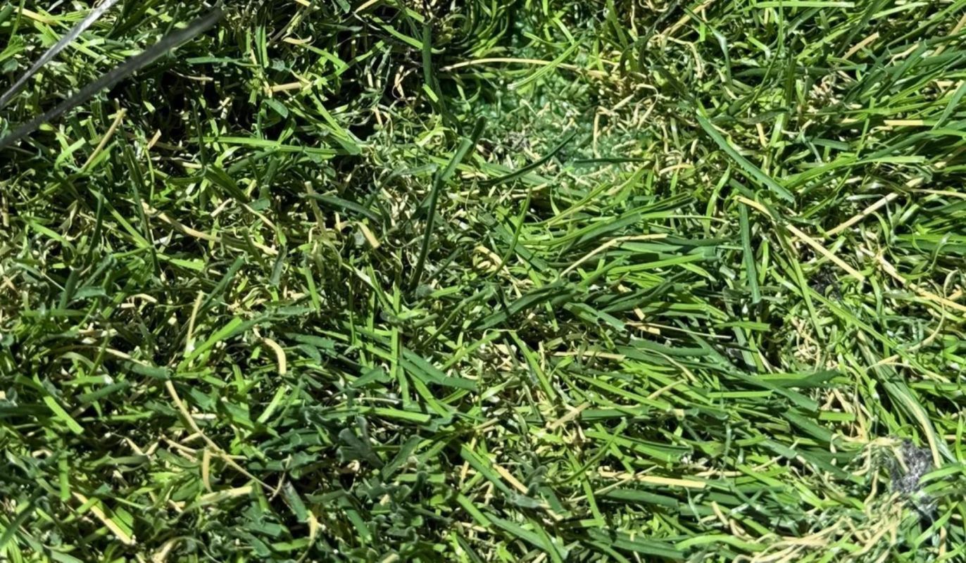 A homeowner shared photos on Reddit highlighting the seam lines in their newly installed artificial turf.