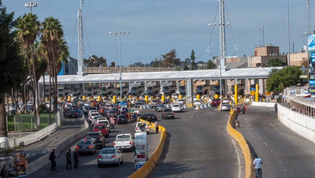 A bust in Mexico has demonstrated the sheer size of the illegal turtle trade market.