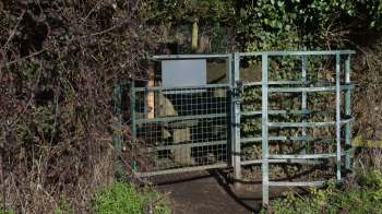 A fed-up homeowner shared how their unruly neighbor's cow keeps invading their property and causing chaos.