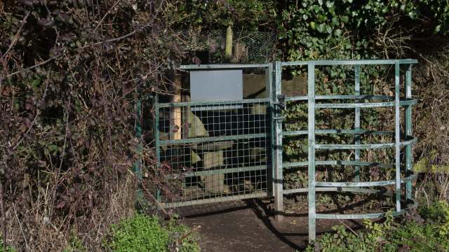 A fed-up homeowner shared how their unruly neighbor's cow keeps invading their property and causing chaos.