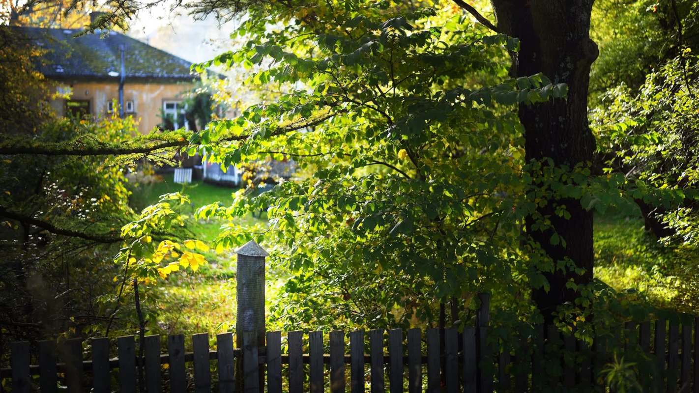 Living next to pets is a part of apartment life, but that doesn't mean there are no boundaries set for untrained dogs.
