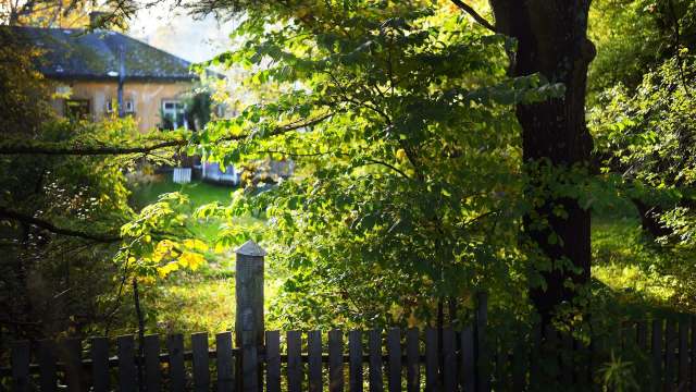 Living next to pets is a part of apartment life, but that doesn't mean there are no boundaries set for untrained dogs.