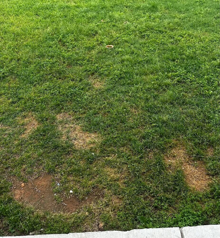 One Redditor shared how their upstairs neighbor was littering food scraps that ended up in the shared yard and even the OP's private garden space.