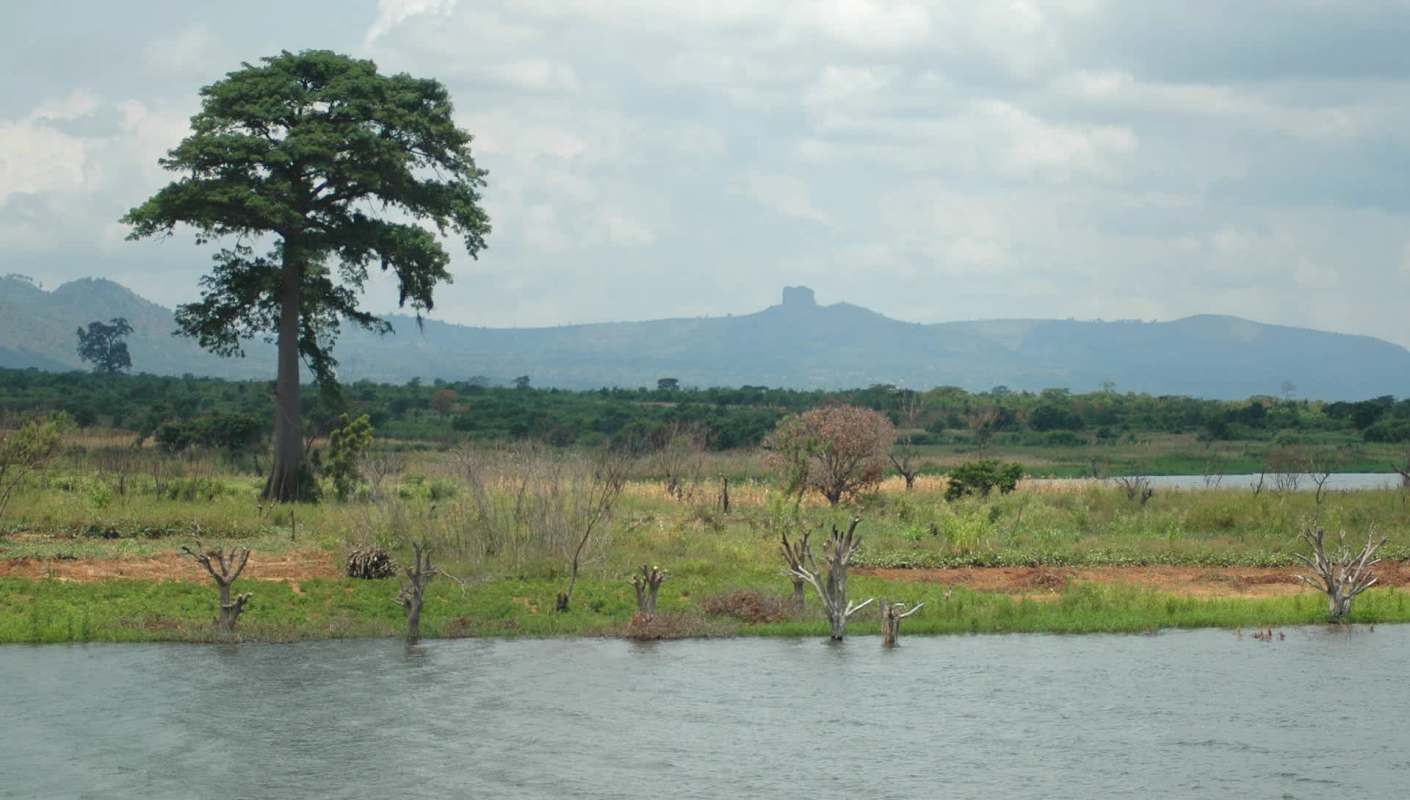 An invasive plant, water hyacinth, from South America, is threatening ecosystems in Ghana.