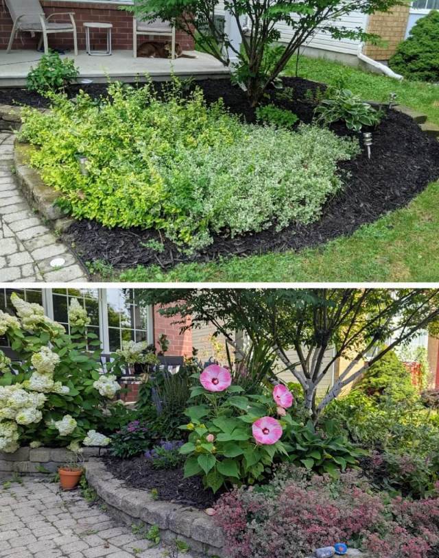 One homeowner on the subreddit r/gardening shared how they created a pollinator-friendly garden at their new home.