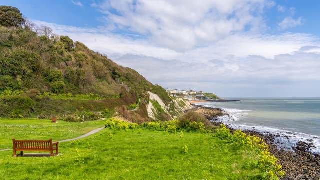 Entomologists were shocked to rediscover the critically endangered white-knuckled wolf spider in the UK.