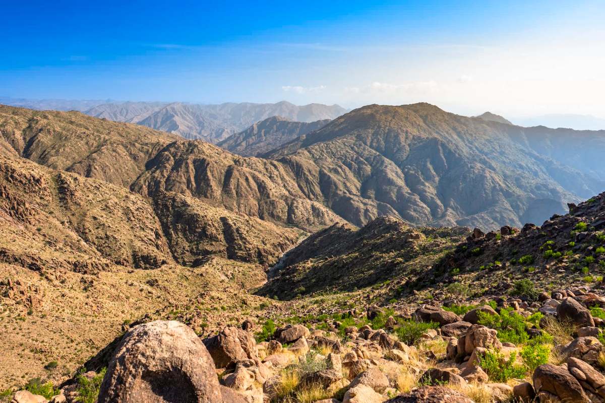 A white-tailed eagle has been spotted in Saudi Arabian skies for the first time in 20 years.